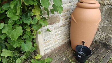 Récupération de l'eau de pluie pour l'arrosage du jardin.