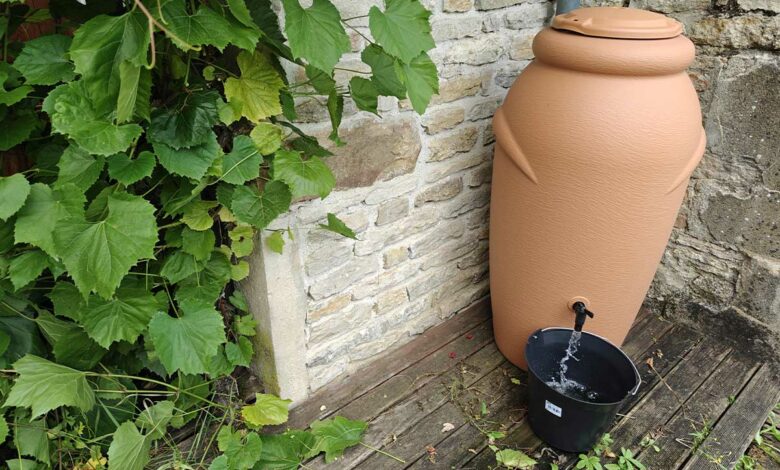 Récupération de l'eau de pluie pour l'arrosage du jardin.