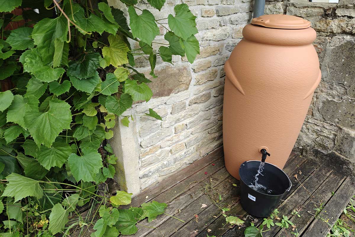 Récupération de l'eau de pluie pour l'arrosage du jardin.