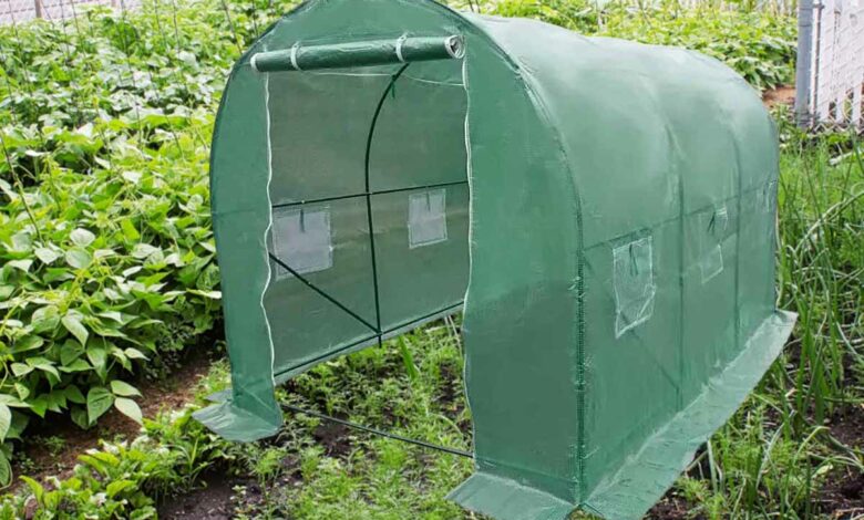 Une serre de jardin pour le potager.