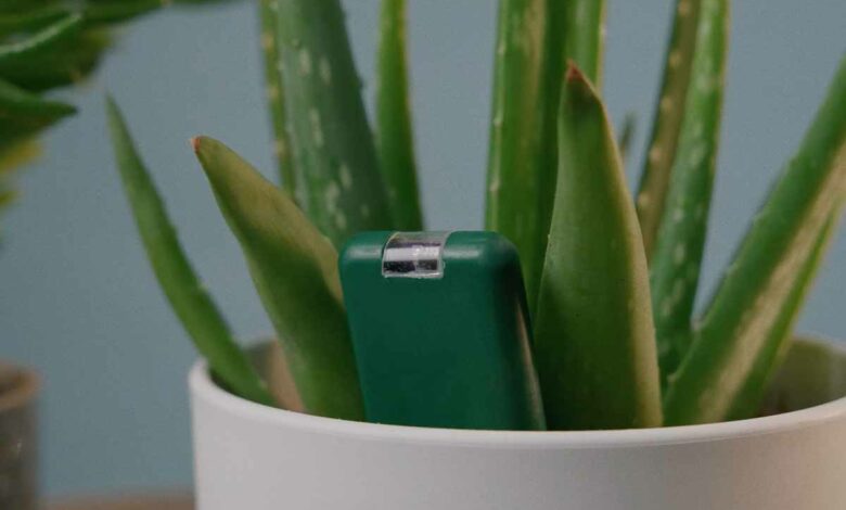 Un capteur qui vous alerte sur les besoins de vos plantes en temps réel.