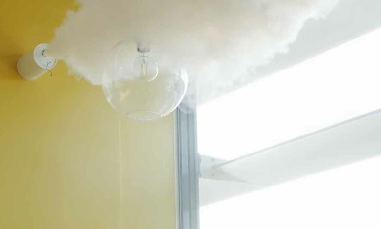 Pour limiter les appartements squattés, la ville de Nice installe des alarmes avec génarateur de brouillard dans ses logements sociaux vacants.