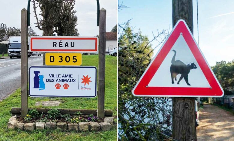 Une ville avec deux pattes (sur trois) pour le label ville amie des animaux.