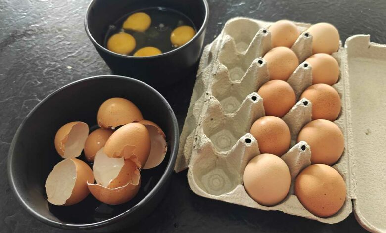 Les coquilles d'œufs peuvent avoir de multiples usages.