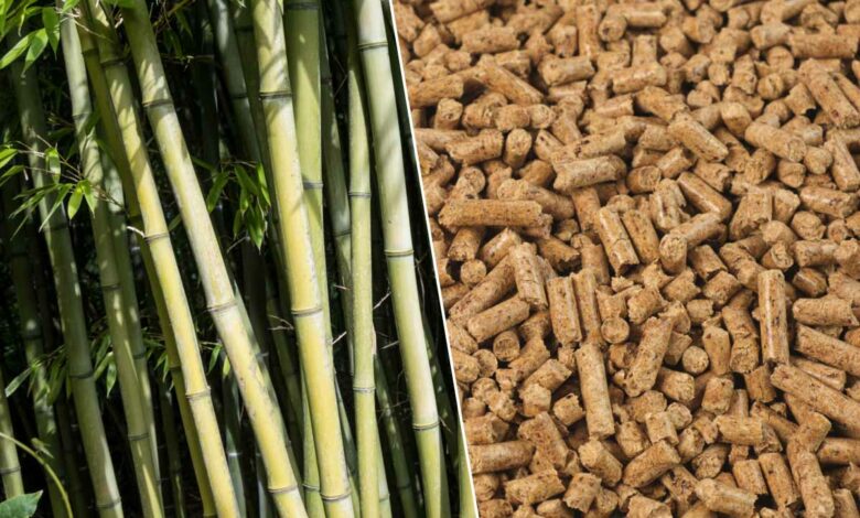 Les pellets de bambou sont certainement une très bonne alternative au bois.