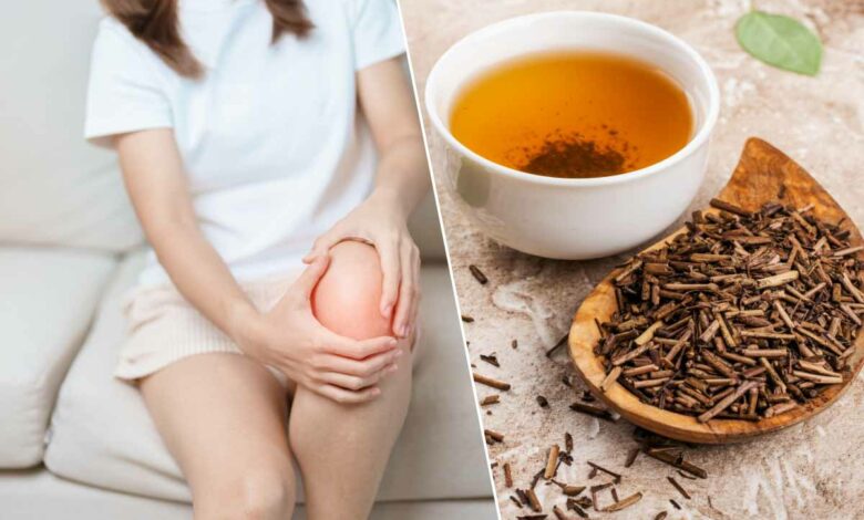 Le thé Hojicha serait un excellent anti-douleur pour l'arthrose.