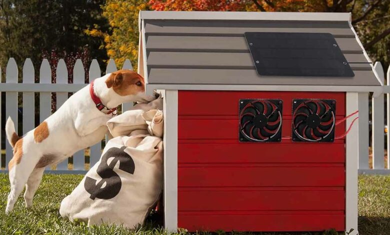 Et si vous pouviez ventiler la niche du chien par ces fortes chaleurs ?