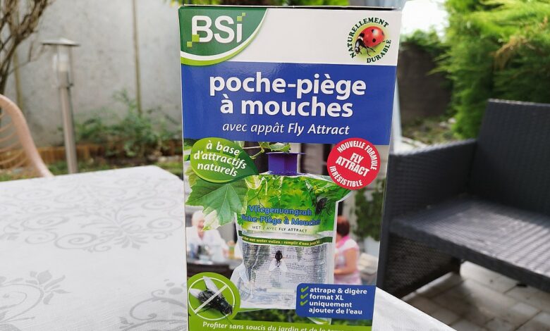 La poche piège à mouche BSI : elle est redoutable !