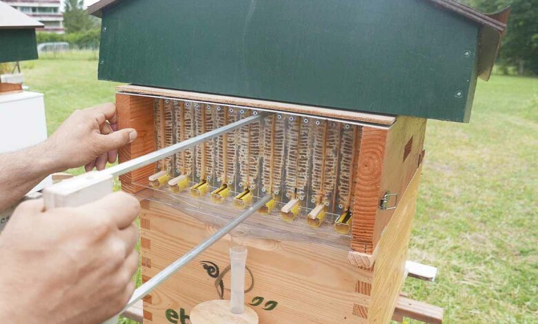 Un système qui permet de récolter le miel sans déranger les abeilles.