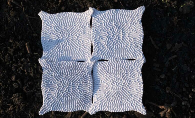 (Sub)Ambient fournit plus de 5 °C de refroidissement sans électricité, même en plein soleil.