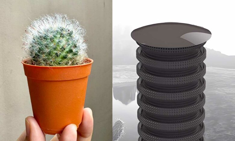 Une invention biomimétique inspirée des cactus capable de collecter l'eau présente dans l'air ambiant par condensation.