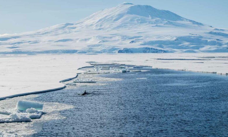 Une mission d'exploration vient de mettre en avant d'autres modèles de fonte en Antarctique.