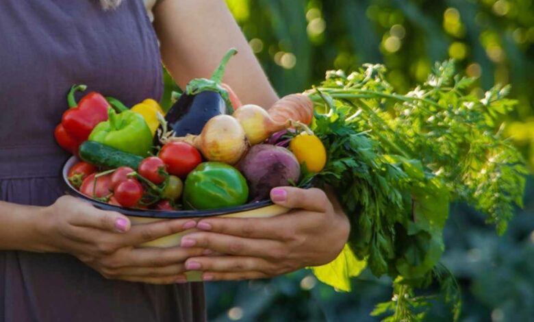 Les légumes anciens reviennent à la mode.
