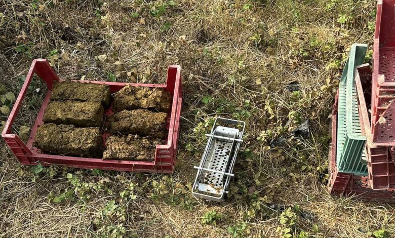 Recyclez vos journaux, vos magazines, cartons et même le crottin avec une presse à briquette. Vous aurez ainsi de petites buches pour l'allumage de votre cheminée ou votre poêle.