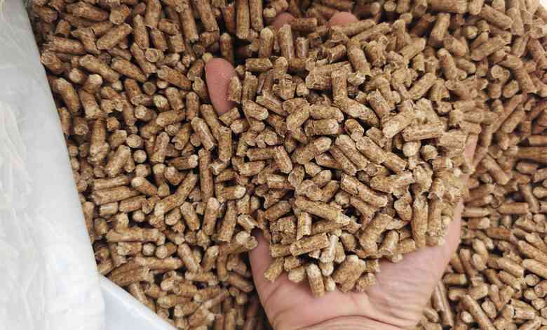 Des pellets à un tarif imbattable en ce moment chez Brico-Dépôt.