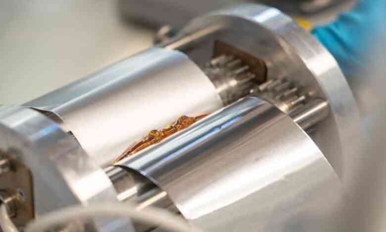 L'électrolyte polymère de la batterie.