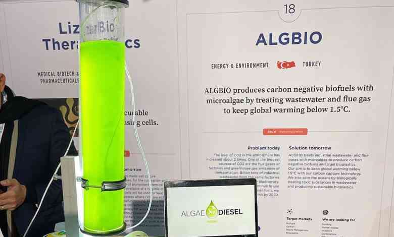 Ces microalgues sont capables d'absorber le CO2 et produire de la biomasse.