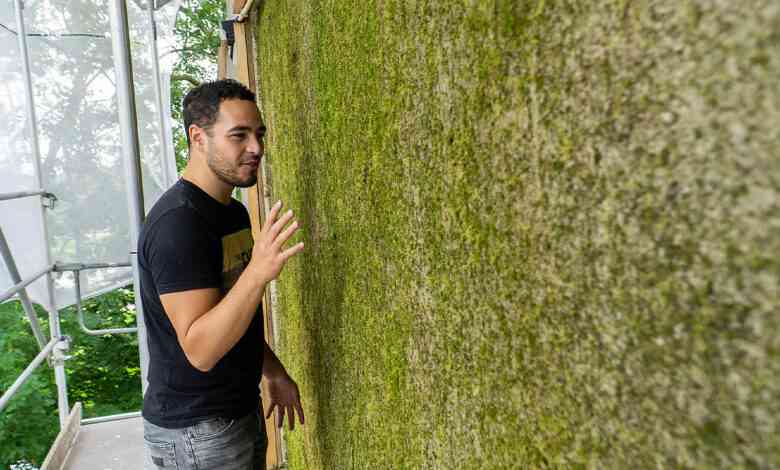 L'entreprise Respyre crée des murs végétalisés avec un béton ou la mousse pousse.