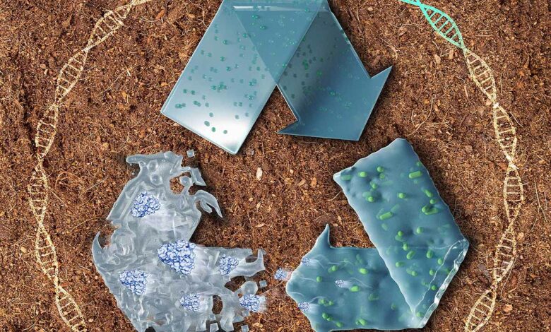 Un plastique qui contient des bactéries qui permettent une dégradation rapide.