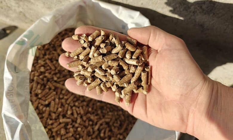 Une poignée de pellets de bois.