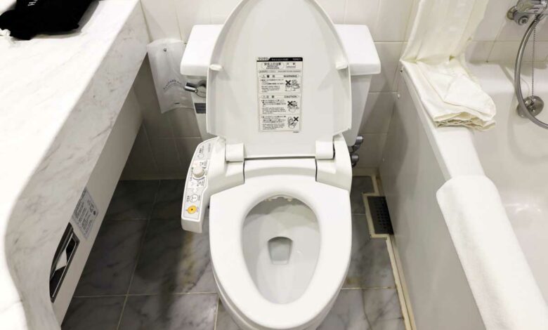 Un WC japonais de face.