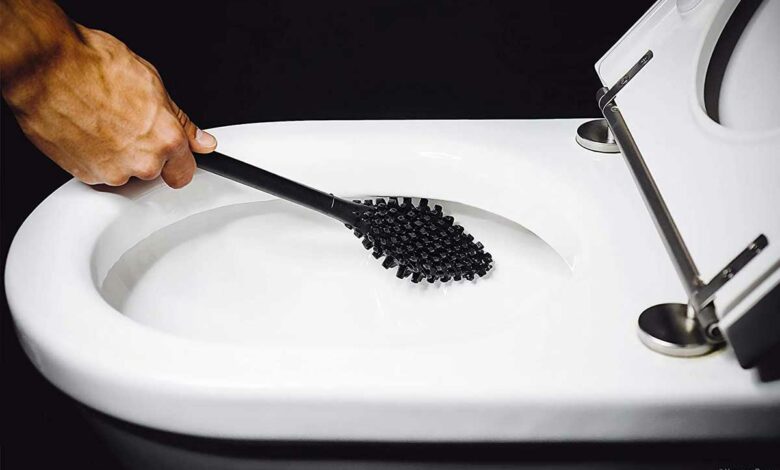 Passage de la brosse dans les toilettes.
