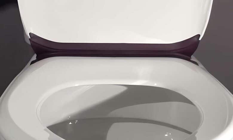 L'invention d'une lunette de WC et d'un abattant à charnière souple pour faciliter le nettoyage et l'hygiène des toilettes.
