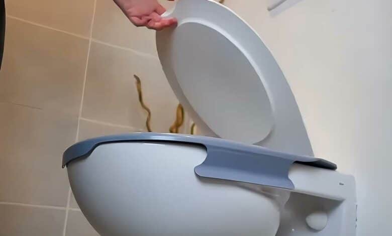 Ouverture de l'abattant d'un WC.
