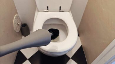 Une brosse de nettoyage de WC.