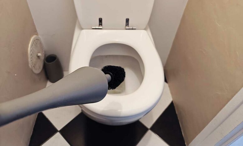 Une brosse de nettoyage de WC.