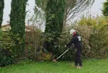 Un homme débroussaille son jardin.