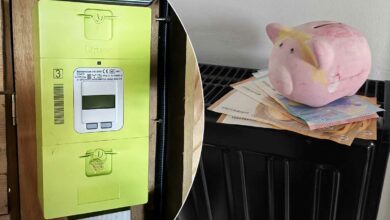 Un compteur Linky et une tirelire cochon avec de l'argent.