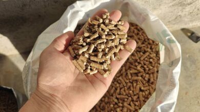 Une main qui tient des pellets au-dessus d'un sac ouvert.