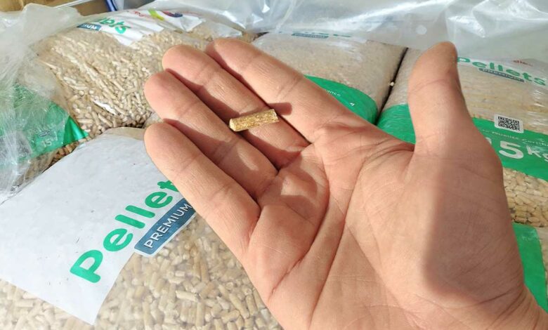 Une main tenant un granulé de bois au-dessus d'une palette de combustible.