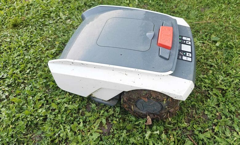 Un robot tondeuse en fonctionnement dans le jardin.