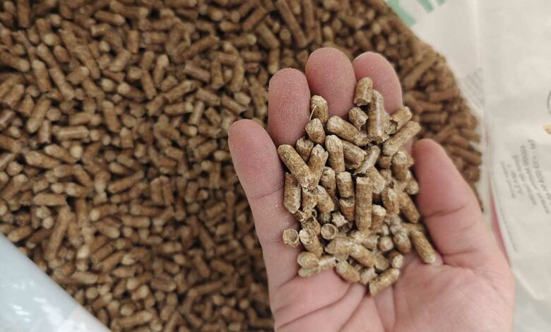 Pellets de bois tenus en mains au-dessus de leur sac.