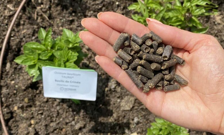 Un engrais sous forme de pellets.