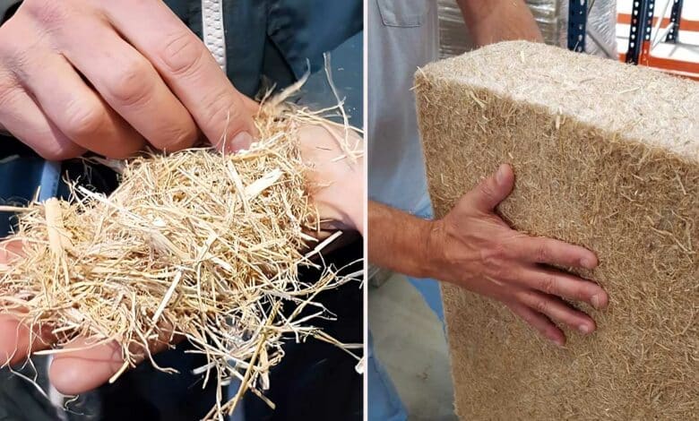 De la paille de riz au panneau isolant.