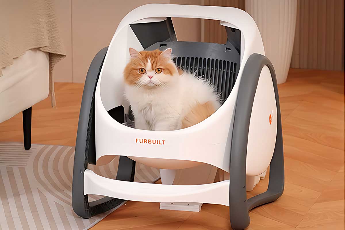 Combien coûte un chat par mois ? Le guide complet [2025] avec prix mentionnés