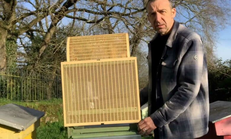 Un apiculteur présente son piège sélectif à frelons asiatiques.