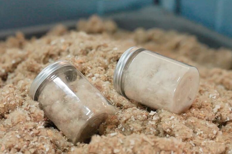 De la fibre issue du recyclage de mégots.