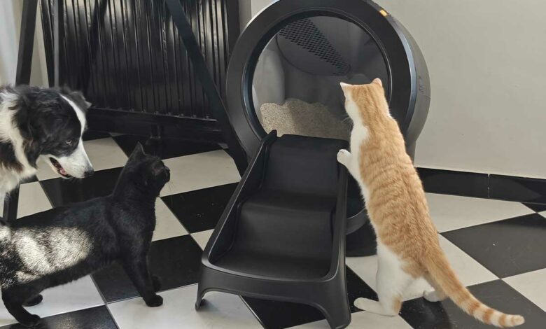 La litière connectée Whisker Litter-Robot 4.