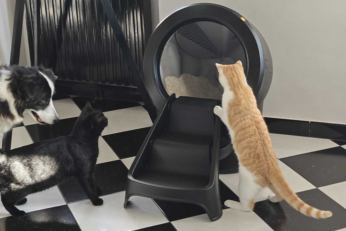 La litière connectée Whisker Litter-Robot 4.