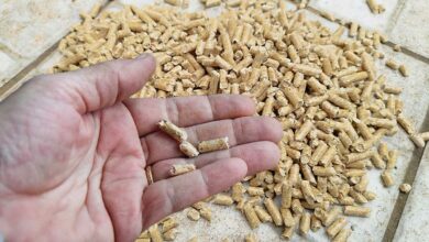 Des pellets de bois.