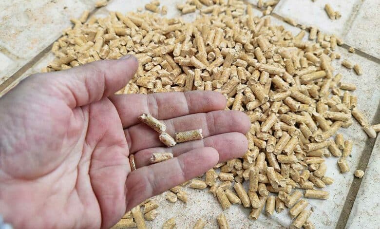 Des pellets de bois.