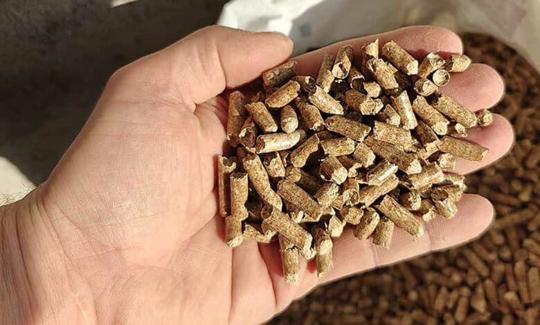 Une main tenant des pellets de bois.
