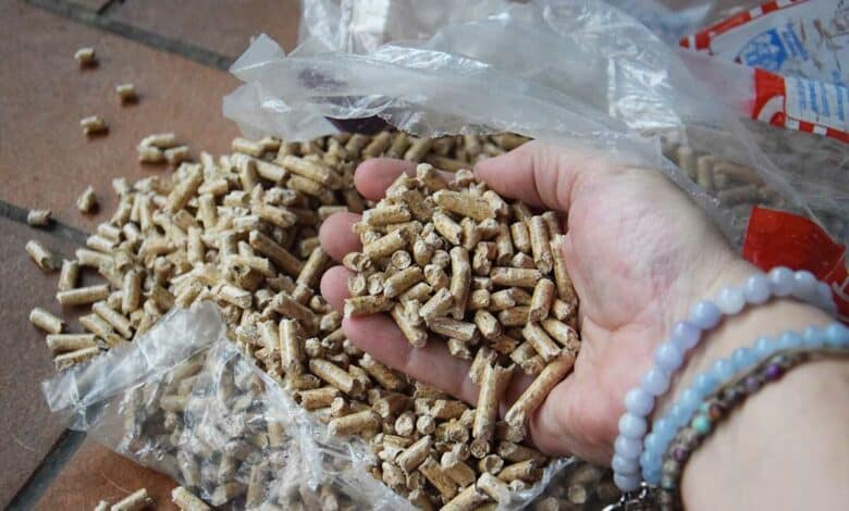 Des pellets dans une main.