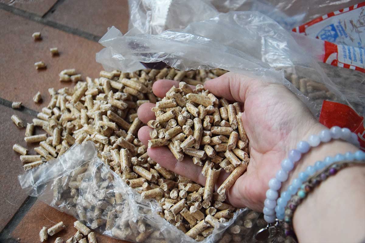 Des pellets dans une main.