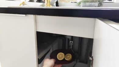 Le citron possède de nombreuses qualités autres que pour la consommation. Photo d'illustration non contractuelle.