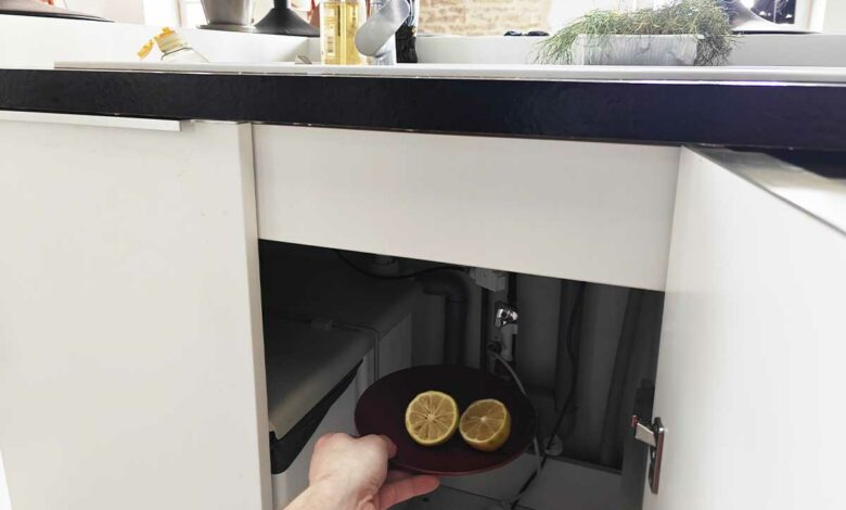 Le citron possède de nombreuses qualités autres que pour la consommation. Photo d'illustration non contractuelle.